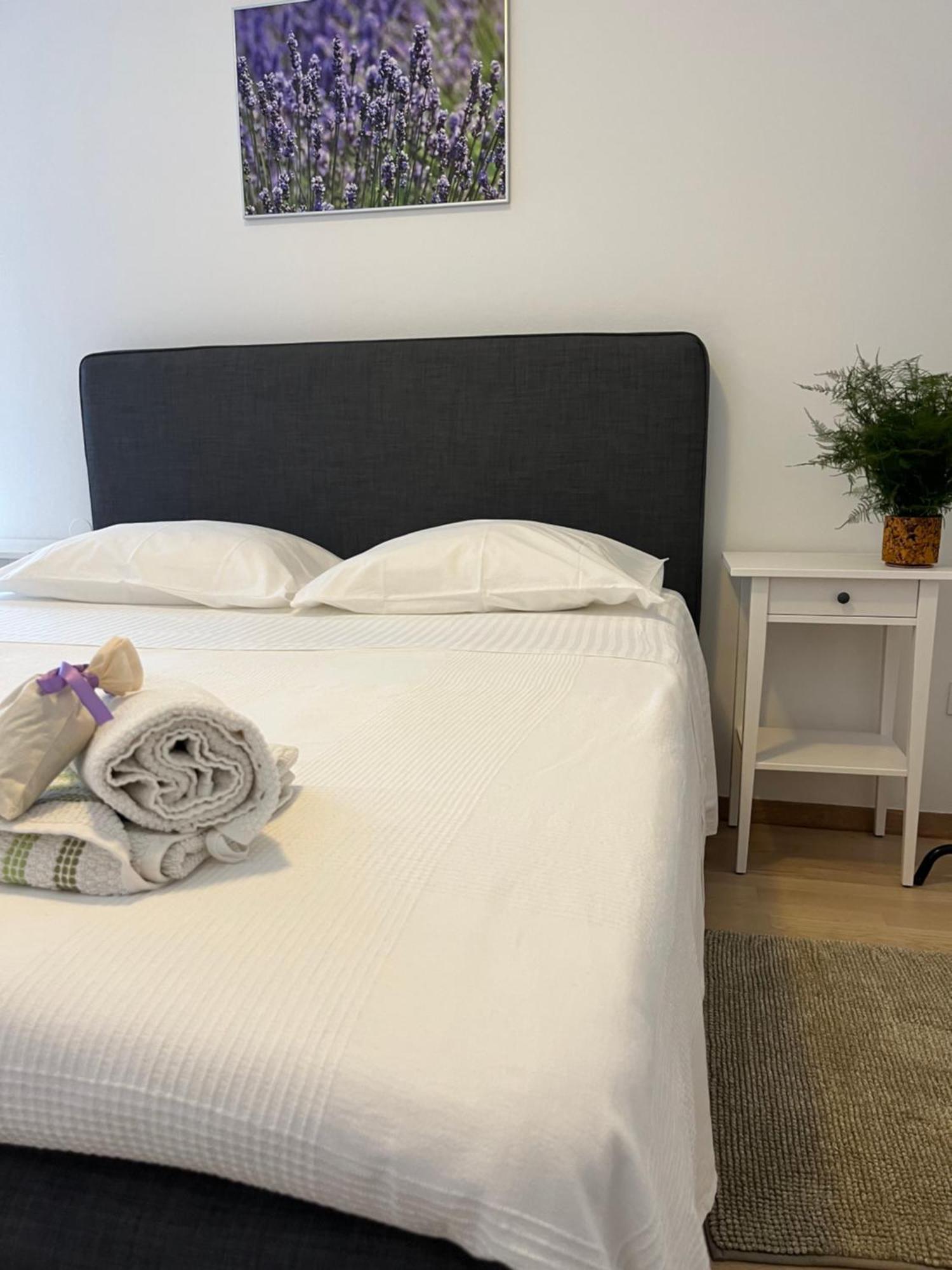 Apartmán Zanini *